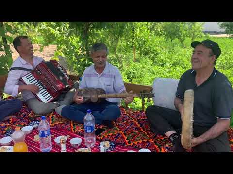 Видео: Бинка бобо ижросида хазил кушик