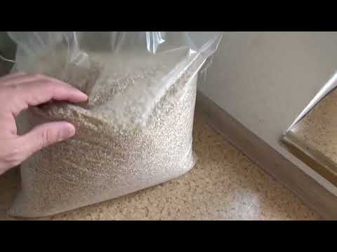 Видео: Ячменный виски на кодзях!