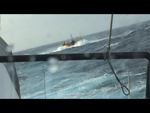 Видео: Буксиры в бурном море — тяжелый WX