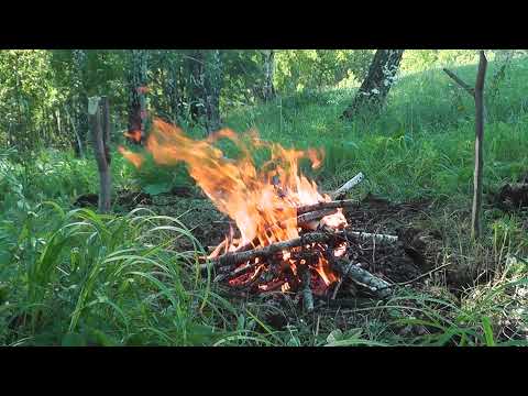 Видео: Яшьлек тавым.Нәфкәть Нигьматуллин җырлый.