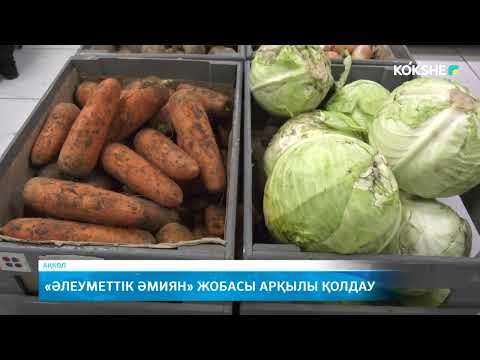 Видео: «Әлеуметтік әмиян» жобасы арқылы қолдау