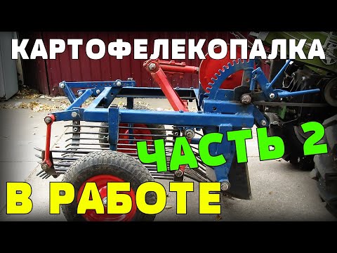 Видео: Картофелекопалка к мотоблоку в работе. Убираем картофель. Гаражные самоделки