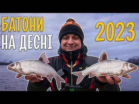 Видео: Ловля перших батонів на Десні. Фідерна рибалка весною 2023