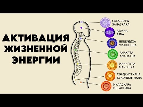 Видео: Течение энергии по позвоночному столбу #ментальноездоровье #практики #чакры