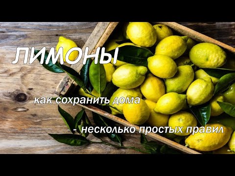 Видео: Как сохранить лимоны дома несколько простых правил