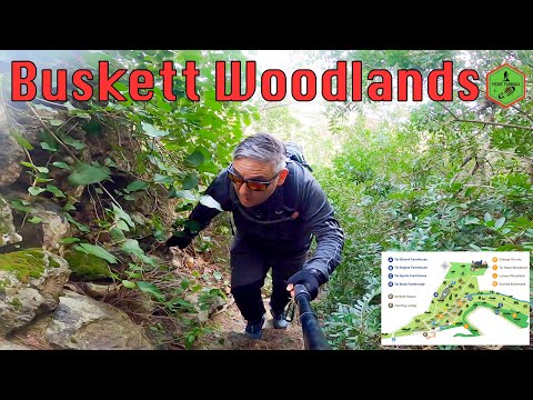 Видео: Бускетт Вудлендс Рабат Мальта