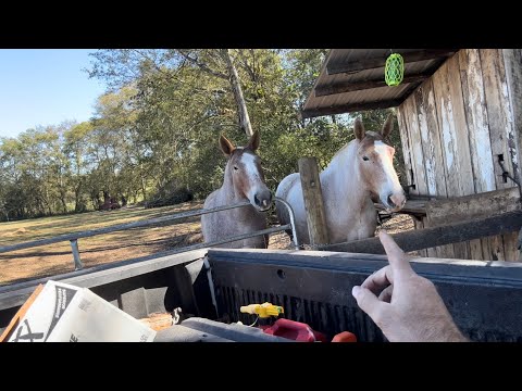 Видео: Уходим с работы и доводим дела до конца