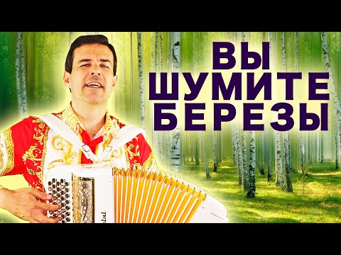 Видео: Вы шумите березы (А я лягу прилягу) под баян - поет Вячеслав Абросимов