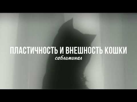 Видео: «Вау, да она вылитая кошка» || Мощный саблиминал