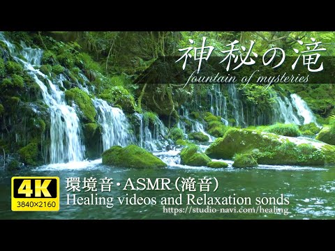 Видео: [Звуки окружающей среды / ASMR] Загадочный водопад и журчание реки.