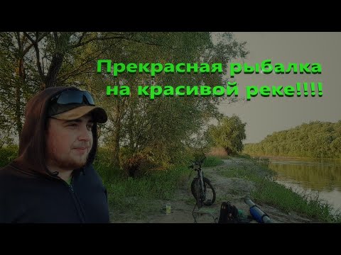 Видео: Ловлю подуста на фидер. Рыбалка на Хопре