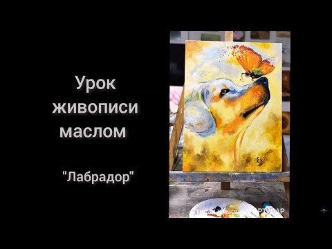 Видео: Урок живописи маслом. Как рисовать лабрадора.