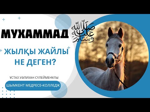 Видео: Ат жайлы хадисте сіз білмейтін сырлар