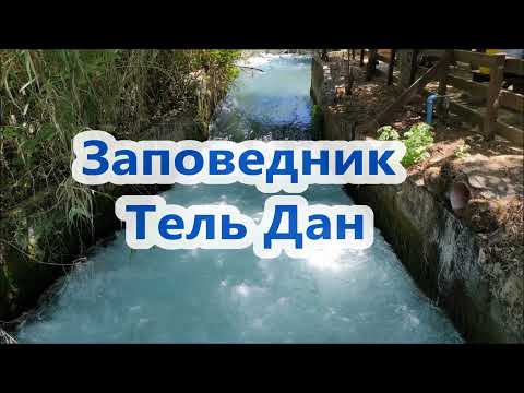 Видео: Заповедник Тель Дан. Израиль # Tel Dan Nature Reserve. Israel