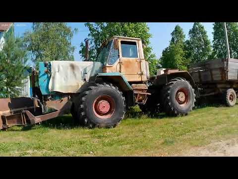 Видео: Деревня Вострое райский уголок