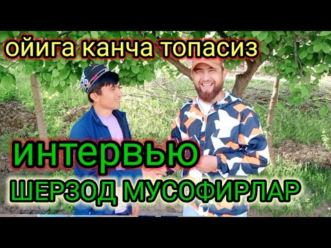 Видео: КУТУЛМАГАН ЖАВОБЛАР😯ШЕРЗОД МУСОФИРЛАР