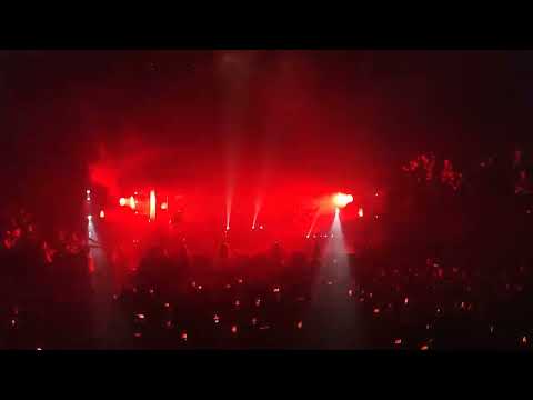 Видео: green apelsin - охота на лисицу / 05.05.23 Санкт-Петербург