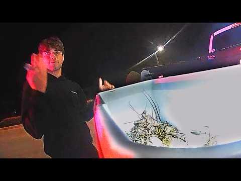 Видео: Пойманы с нелегальным лобстером — Флорида-Кис