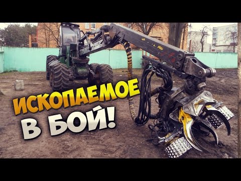 Видео: Ископаемое ожило!