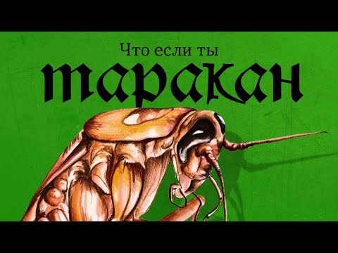 Видео: Жизнь одинокого Таракана. Разбор Кафки «Превращение»