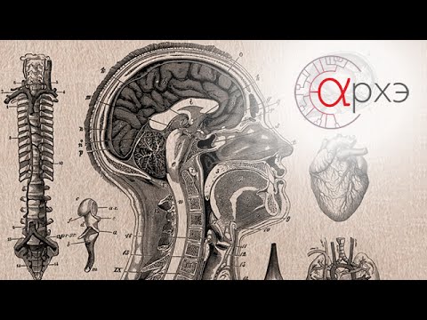 Видео: Никита Жуков: "Почему мы так любим шарлатанов"