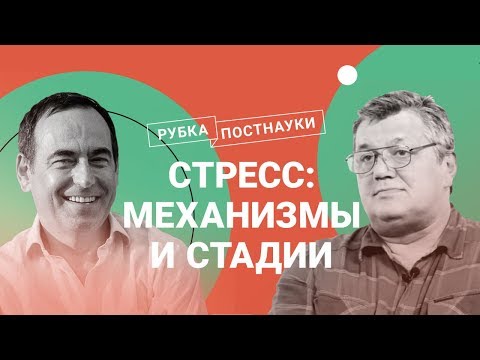 Видео: Стресс: механизмы, стадии и последствия / Дмитрий Жуков в Рубке ПостНауки