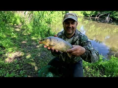 Видео: ✅Пасека в Лесу: Снимаю Все для Вас!) #пчеловодство1
