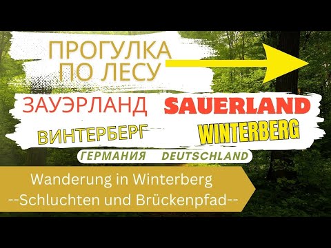 Видео: ГЕРМАНИЯ ЗАУЭРЛАНД ВИНТЕРБЕРГ Прогулка по ЛЕСУ Wanderung in Winterberg Schluchten und Brückenpfad 4K