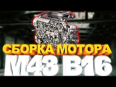 Видео: BMW E36 Сборка мотора M43B16. Почти капиталОчка.