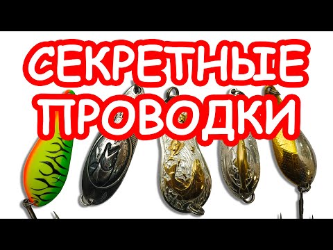Видео: Секретные проводки блесен. Ловля щуки на блесну