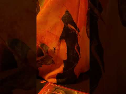 Видео: ВЕДЬМА ОЧЕНЬ НЕРВНИЧАЕТ!! ОНА ДУМАЛА, ЧТО ЭТО ПРЕДОТВРАТИТ ЕЁ ПОТЕРЮ!! КАРМА ВСЕ ЕЩЕ ЗДЕСЬ‼️