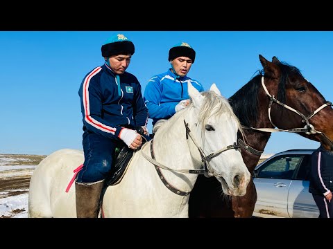 Видео: Астана Ильхам мырзанын Министр атты Тулпары. Министр 25 миллион