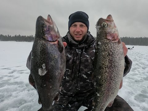 Видео: Как ловить форель зимой!  часть 1
