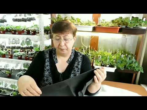 Видео: Оранжерея в квартире. Альтернатива капиллярным матам.