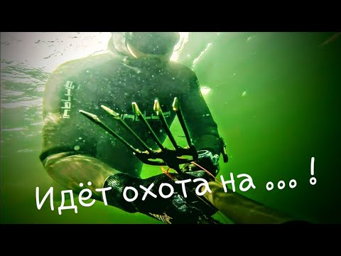 Видео: 🇪🇪🔱🔥Oхота на Угря лето 2023г. 🤙 💥 💯