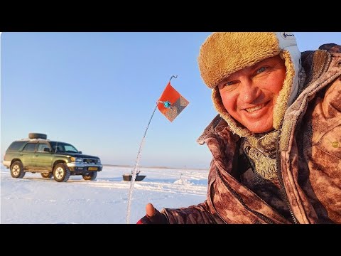 Видео: Рыбалка с ночёвкой , о чем мечтал то и поймал.