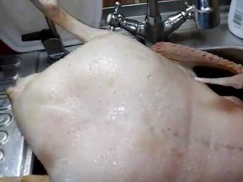 Видео: Обсмаливаем гуся\ goose