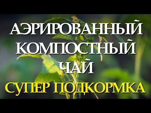 Видео: АКЧ-СУПЕР МЕТОД! 100% ВСХОЖЕСТЬ СЕМЯН!