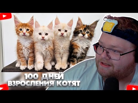 Видео: ❗T2X2 СМОТРИТ - 100 ДНЕЙ ВЗРОСЛЕНИЯ КОТЯТ МЕЙН-КУНОВ❗