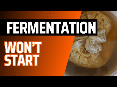 Видео: Мой 6-дневный кошмар брожения (и простое решение, которое спасло мое вино)