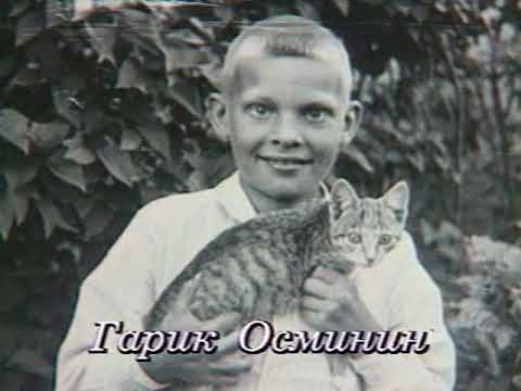 Видео: Дворы нашего детства (ТВ, 1992) режиссер  Алексей Габрилович