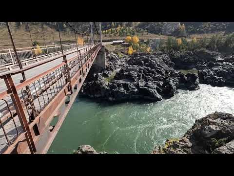 Видео: Горный Алтай Октябрь 2023 База "Клёвая поляна", Ороктойский мост