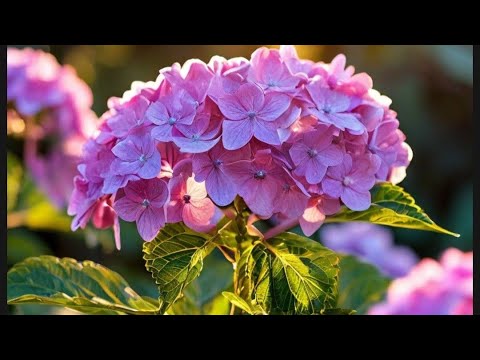 Видео: Подробный урок сборки гортензии/гортензия из холодного фарфора/рецепт холодного фарфора/смогут все