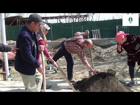 Видео: Парниктин ордун даярдоо.
