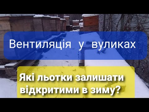 Видео: Які льотки залишати відкритими зимою у вуликах Вентиляція у вулику #матковод_амг