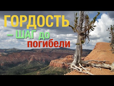 Видео: Гордость – один шаг до погибели – Проповедь Андреас Патц