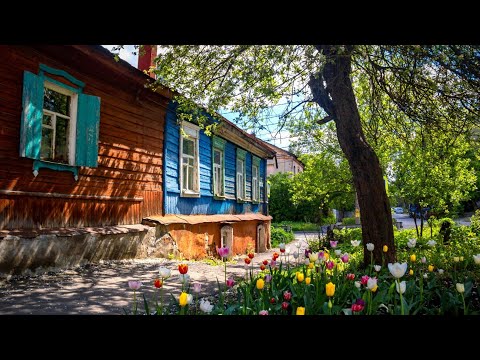 Видео: Лучше нету того цвету. Курск.