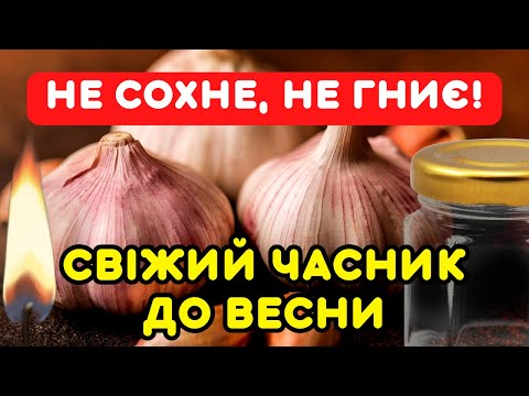 Видео: Як ЛЕГКО сберегти часник до весни - у хаті та квартирі. 3 «бабусини» поради зберігання часнику