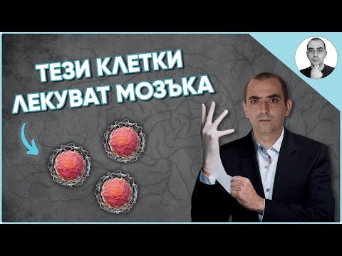 Видео: Тези СТВОЛОВИ клетки лекуват всичко 😮 | Наука с Ники