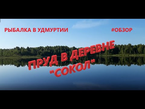 Видео: Рыбалка в Удмуртии. Пруд в деревне "Сокол"